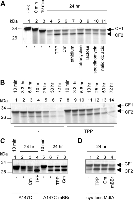 FIGURE 4.