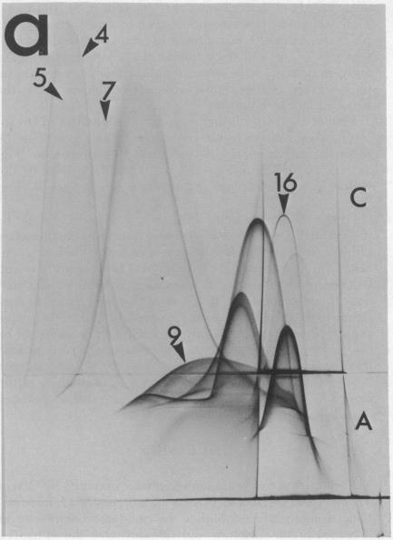 graphic file with name pnas00052-0456-a.jpg