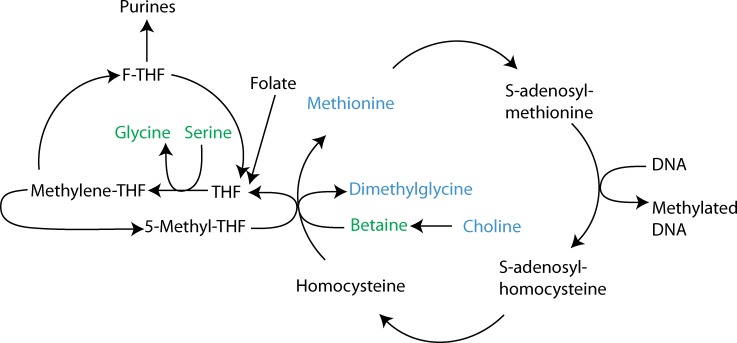 Fig 10