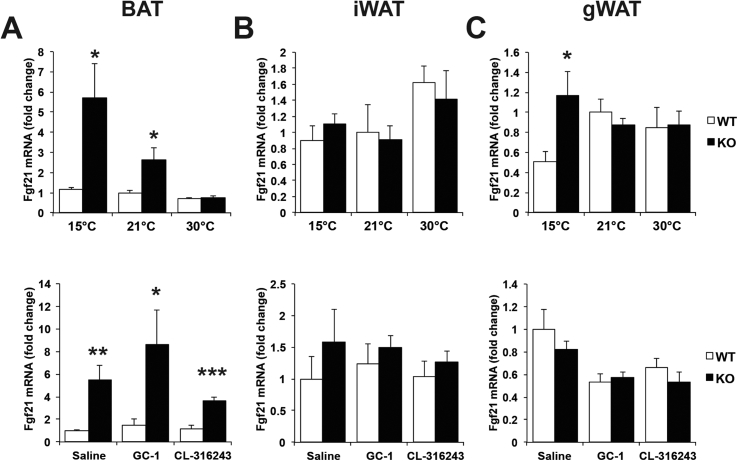 Figure 5