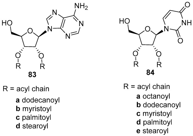 Figure 50