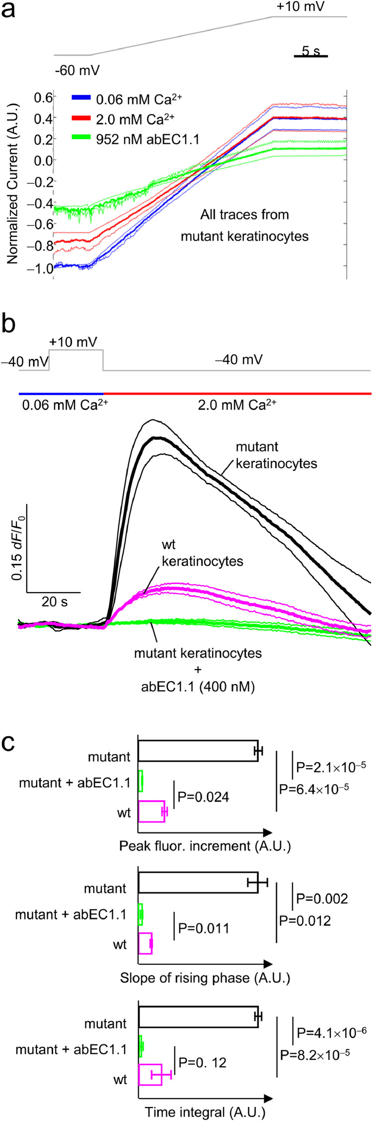 Fig 5