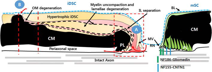 Fig. 3