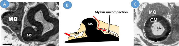 Fig. 5