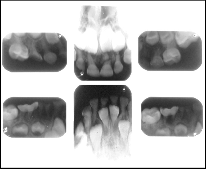 Fig. 7.