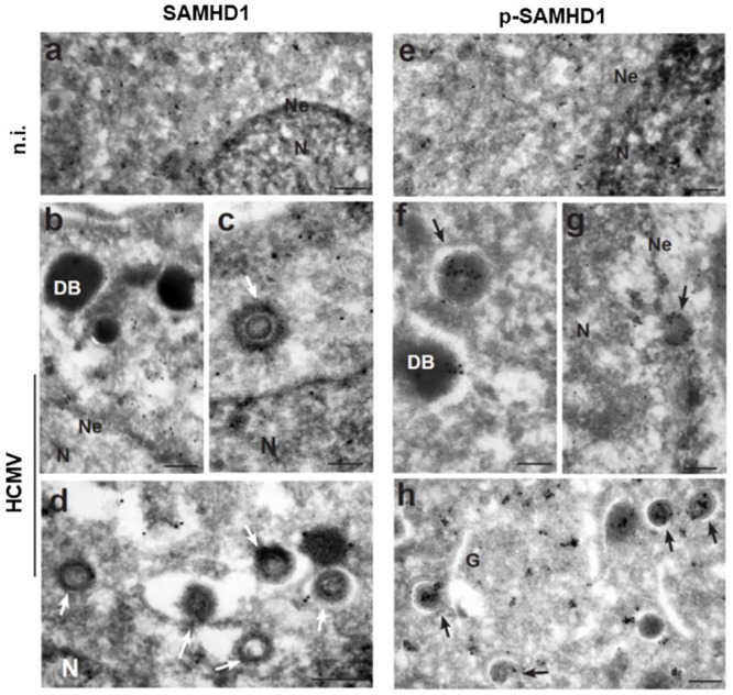 Fig 9