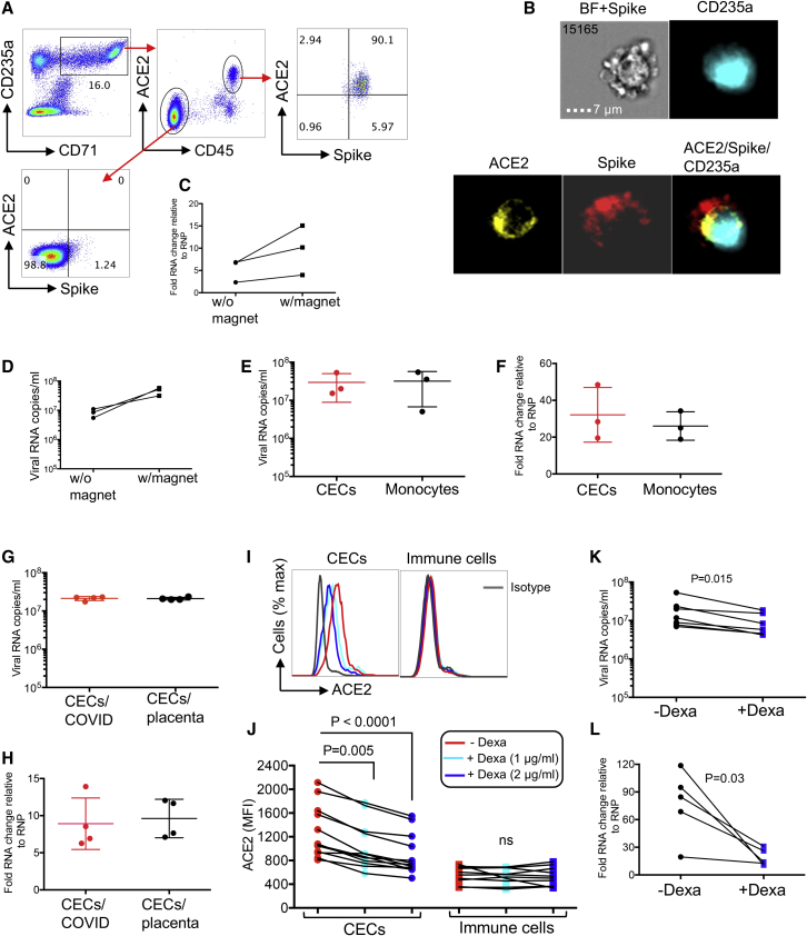 Figure 6