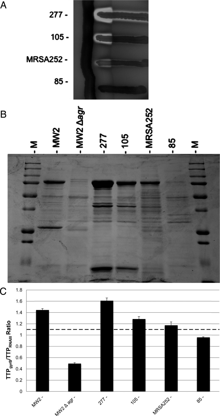 Figure 1.