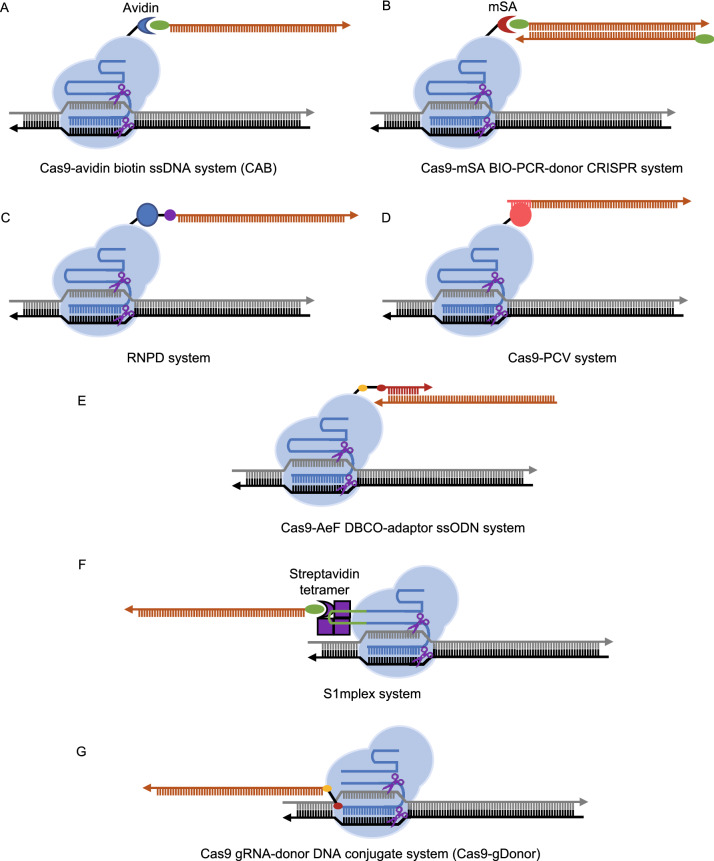 Figure 4