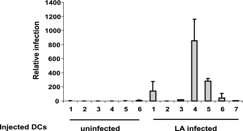 FIG. 2.