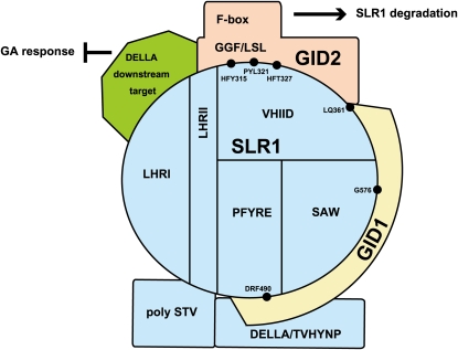 Figure 11.