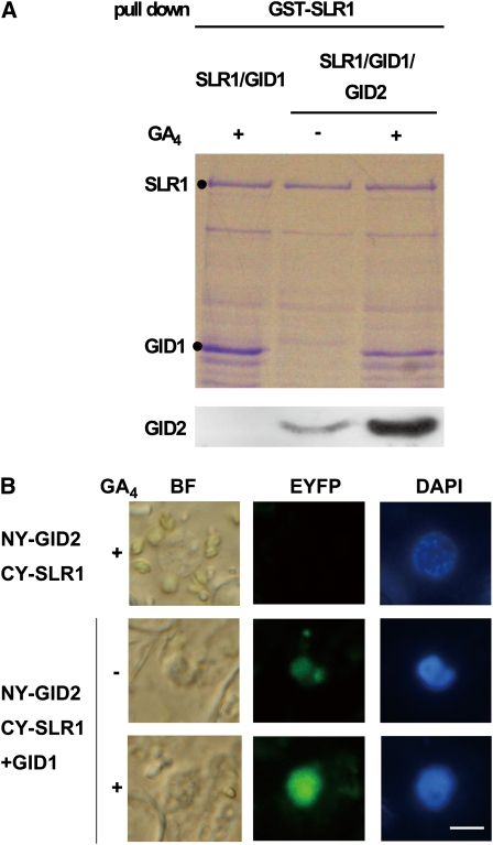 Figure 10.