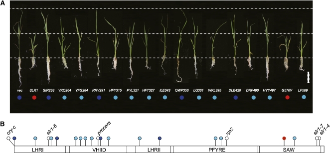 Figure 9.