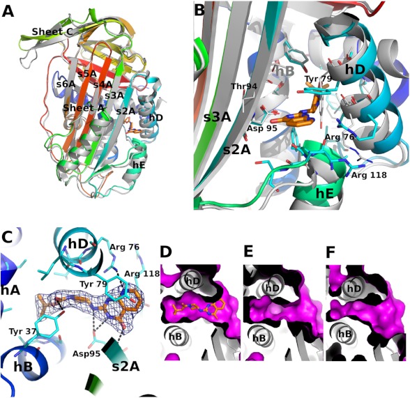 FIGURE 4.