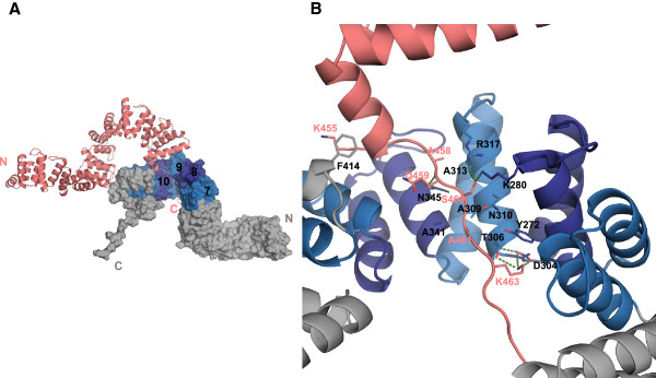 Figure 7