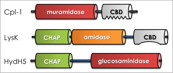 Figure 3.