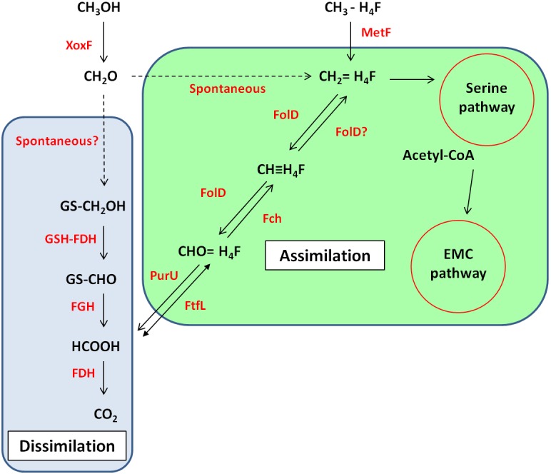 FIGURE 3