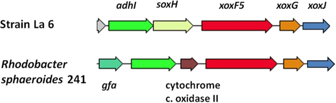 FIGURE 2