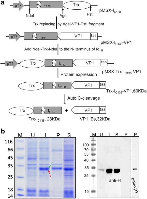 Fig. 1