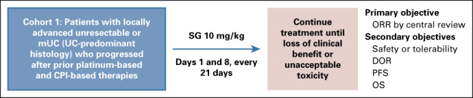 FIG A1.