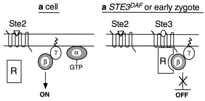 FIG. 6