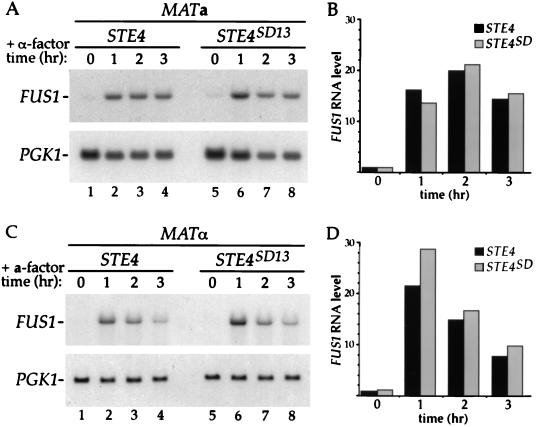 FIG. 4