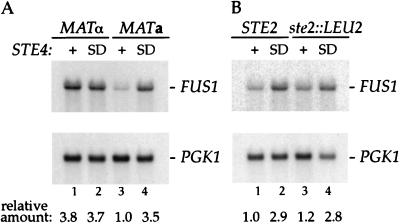 FIG. 5