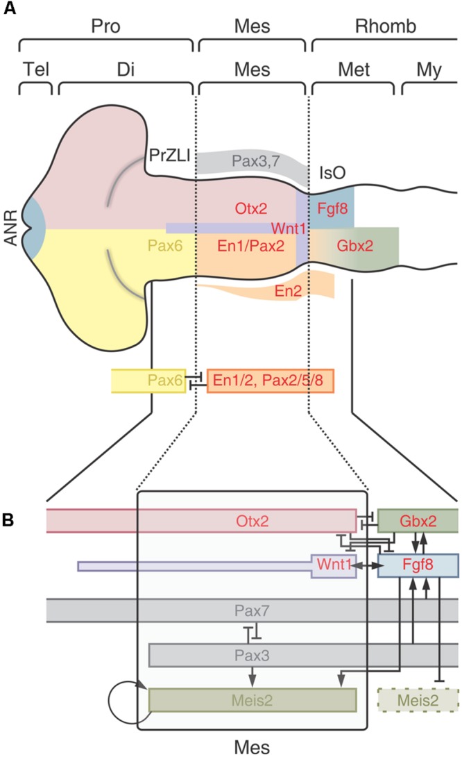 FIGURE 9