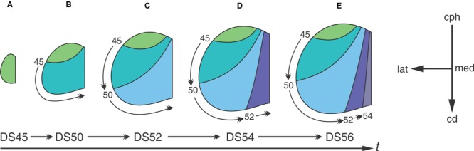 FIGURE 3