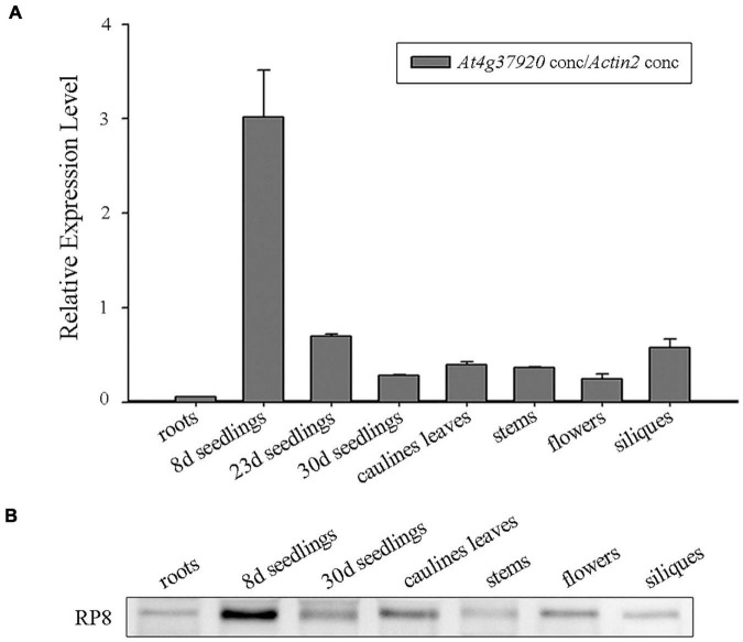 FIGURE 3