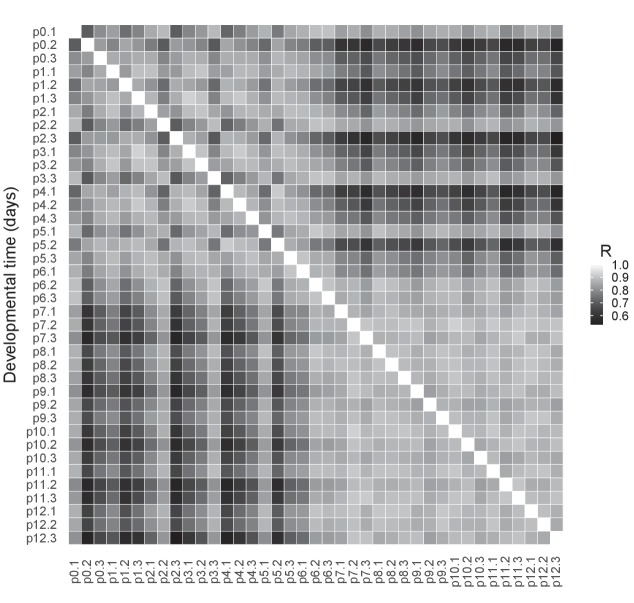 Figure 2—figure supplement 2.