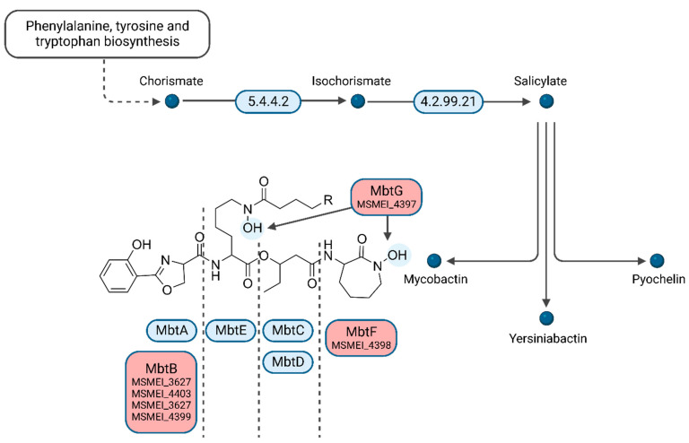 Figure 6