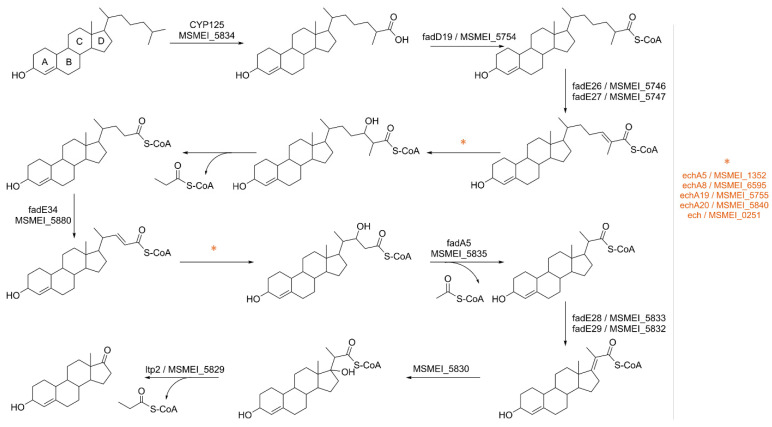 Figure 10