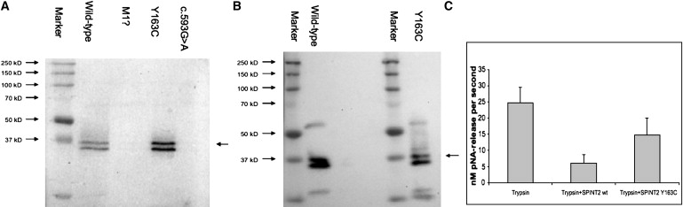 Figure 3