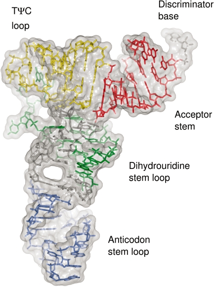 Figure 1.