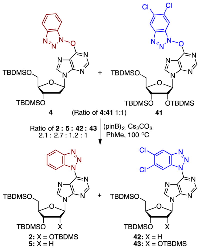 Scheme 8
