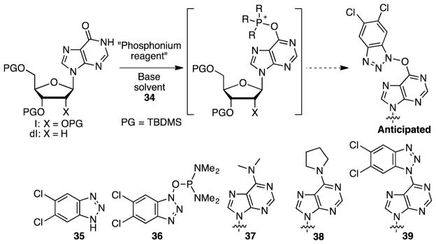 Scheme 5