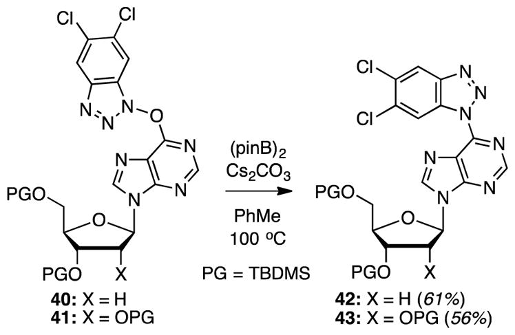 Scheme 7