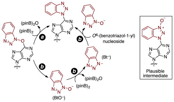 Scheme 10