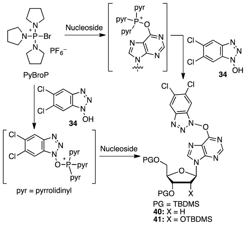Scheme 6