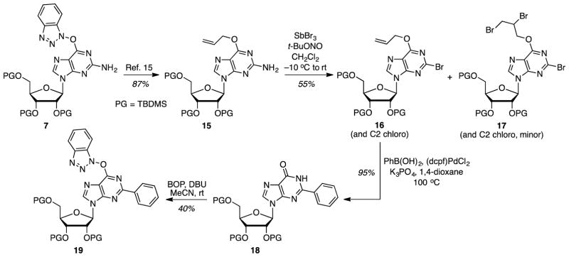 Scheme 3