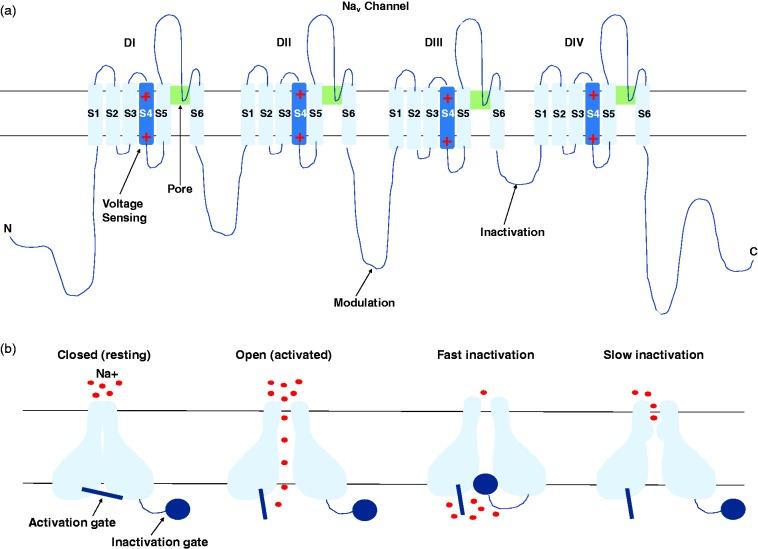 Figure 1.