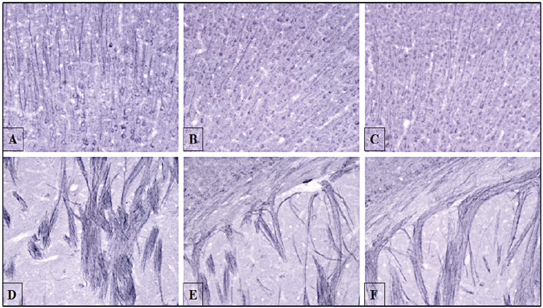 Fig. (6).