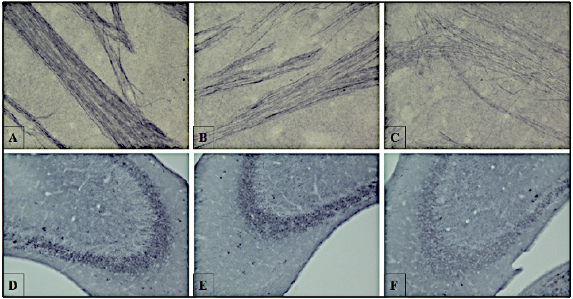 Fig. (7).