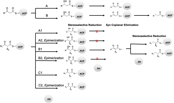 Fig. 10