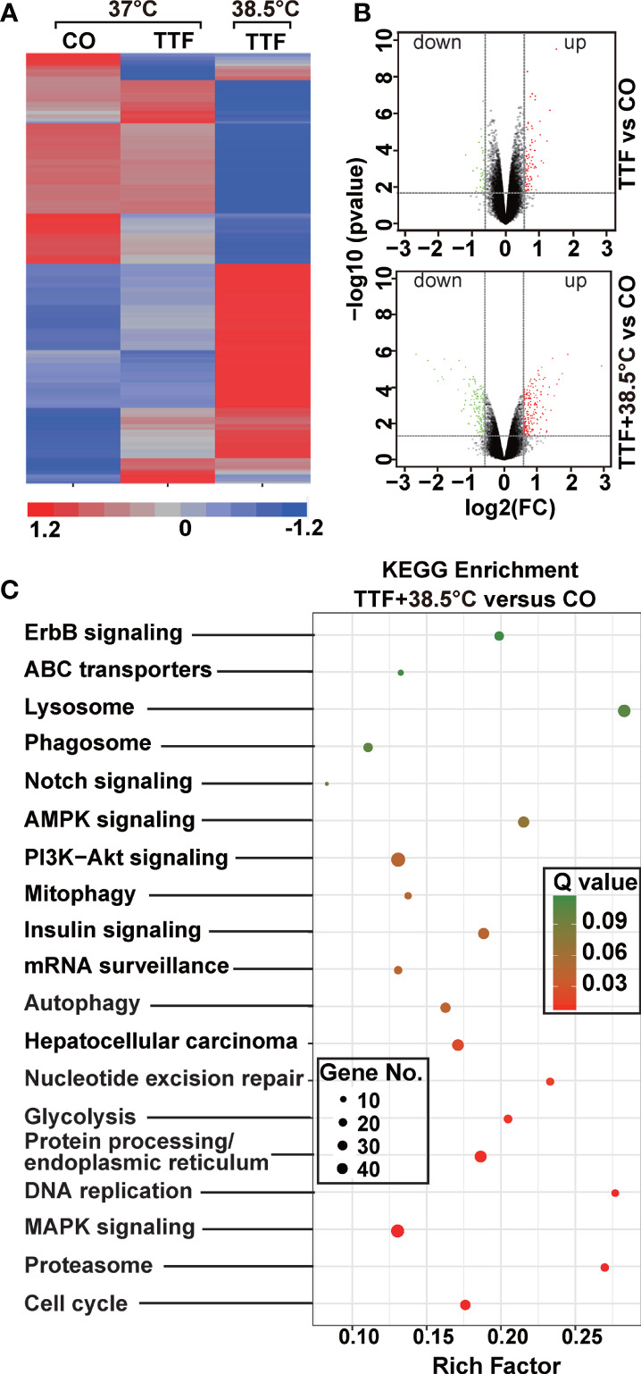 Figure 4