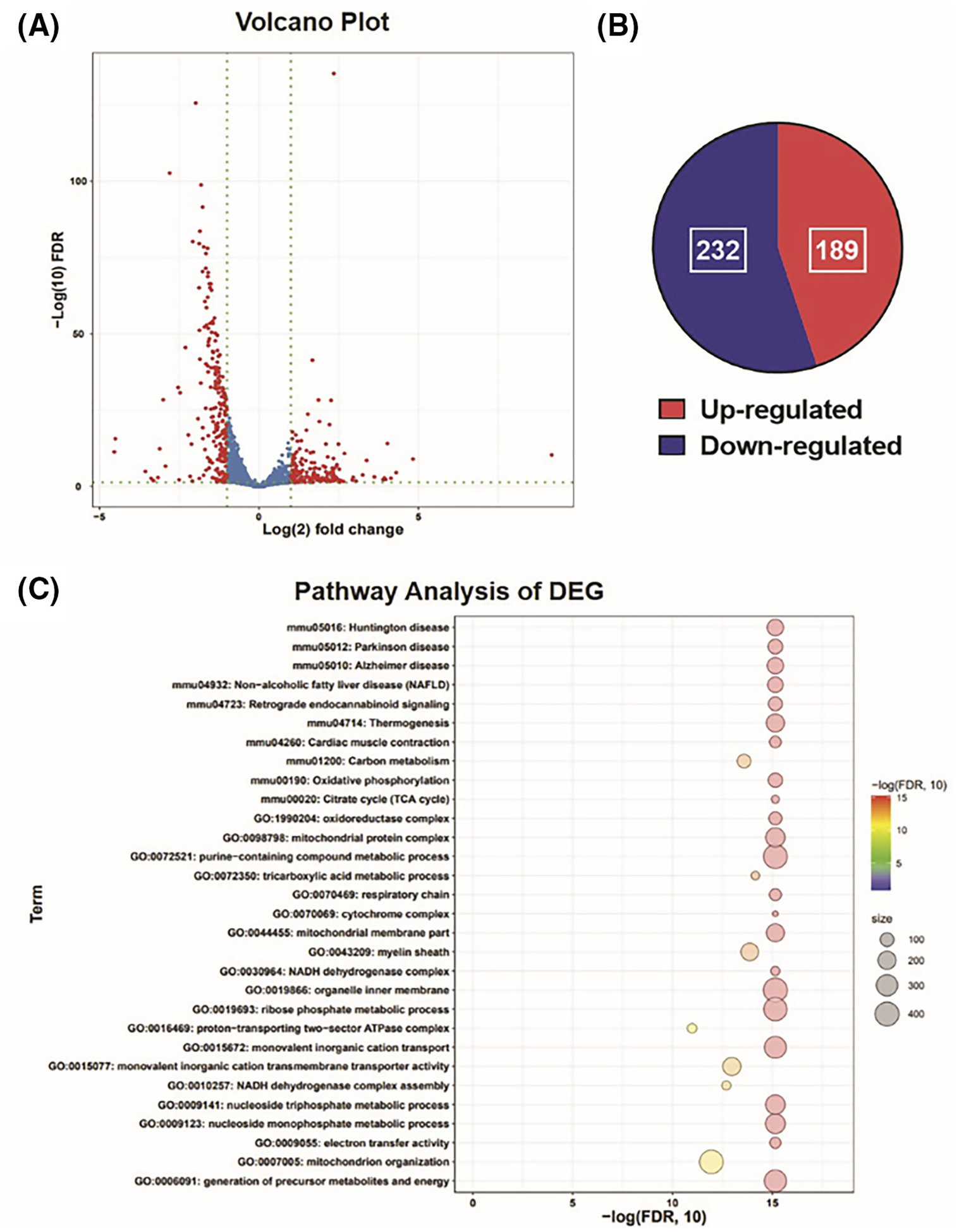 FIGURE 2