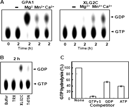 FIGURE 2.