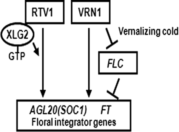 FIGURE 11.