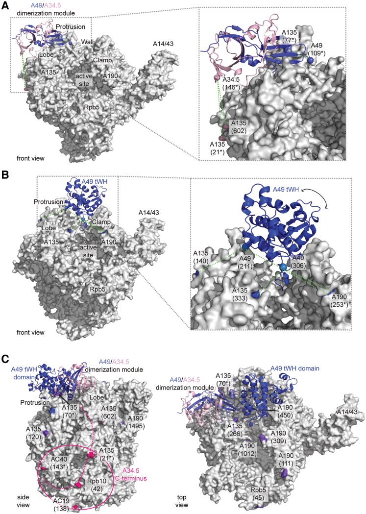 Figure 6.